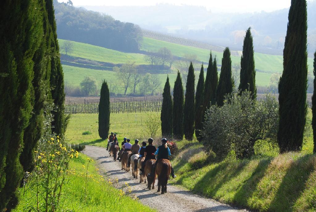 Agriturismo Fattoria Voltrona San Gimignano Extérieur photo
