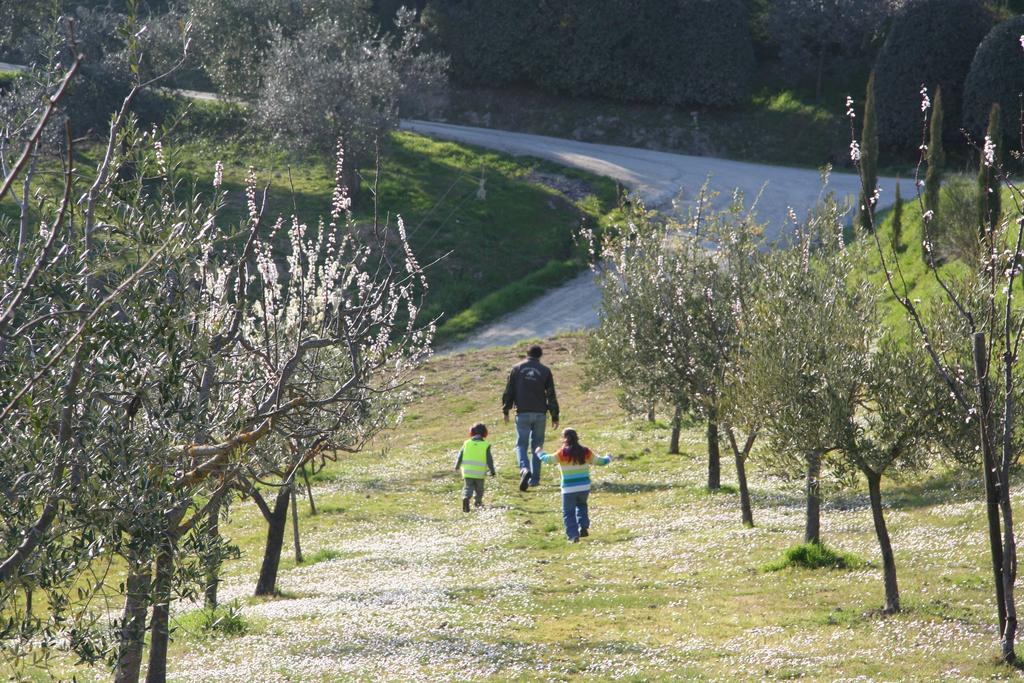 Agriturismo Fattoria Voltrona San Gimignano Extérieur photo