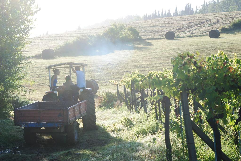 Agriturismo Fattoria Voltrona San Gimignano Extérieur photo