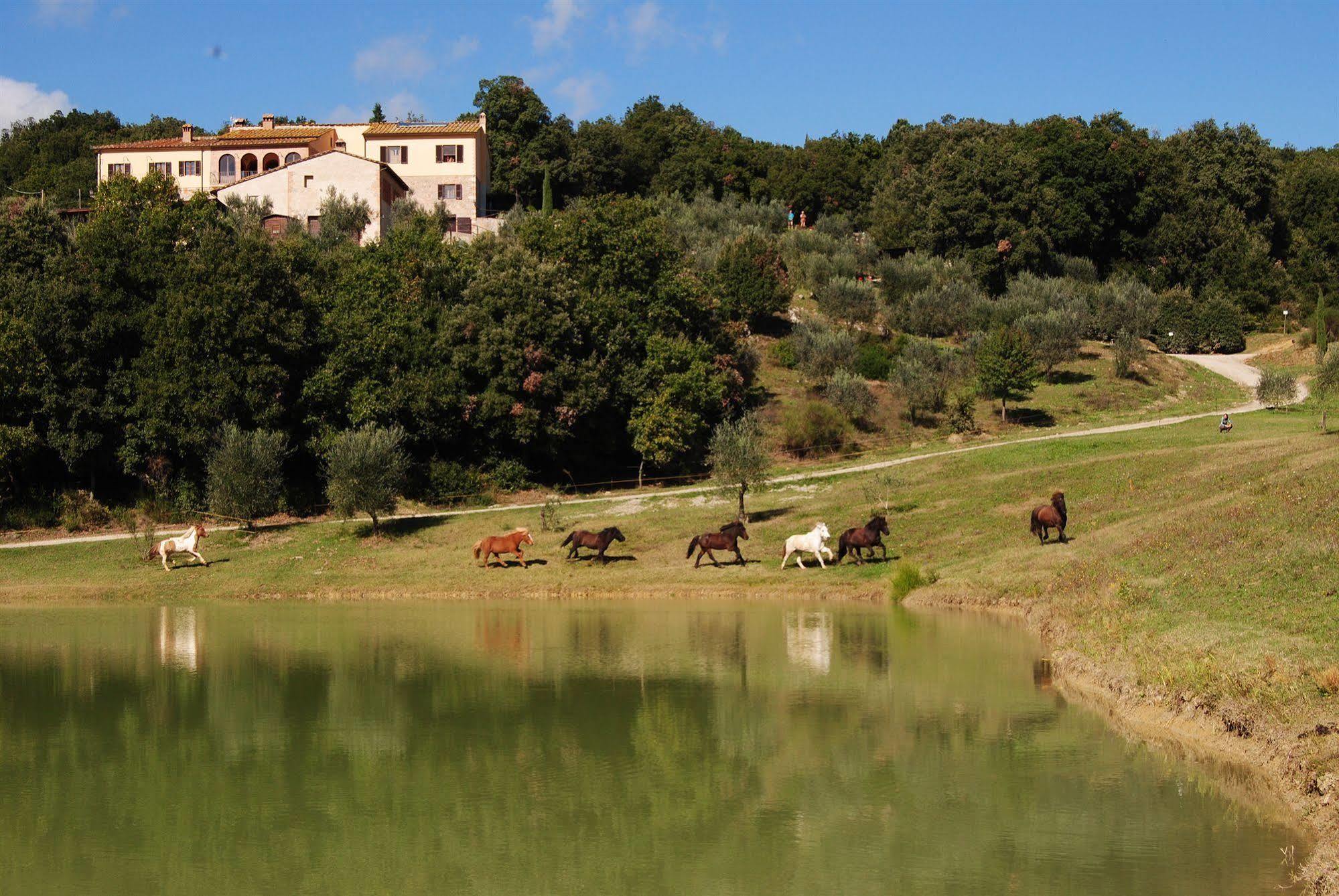 Agriturismo Fattoria Voltrona San Gimignano Extérieur photo